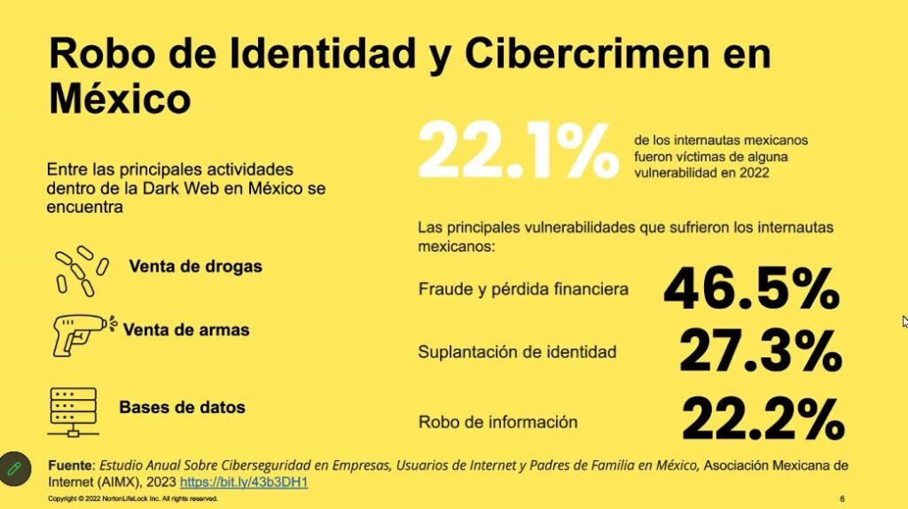 robo de identidad, robo de bases de datos y cibercrimen